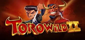Torowild 2_Stake slot